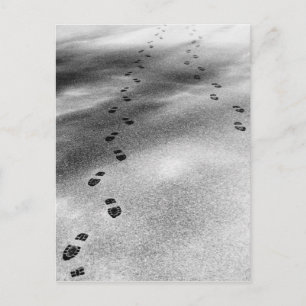 Footprints in Snow Postcard