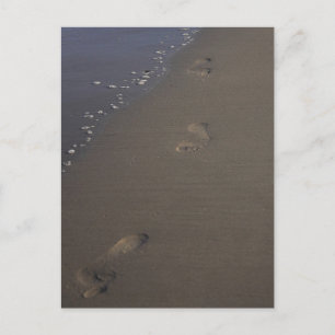 Footprints in the Sand Beach Postcard