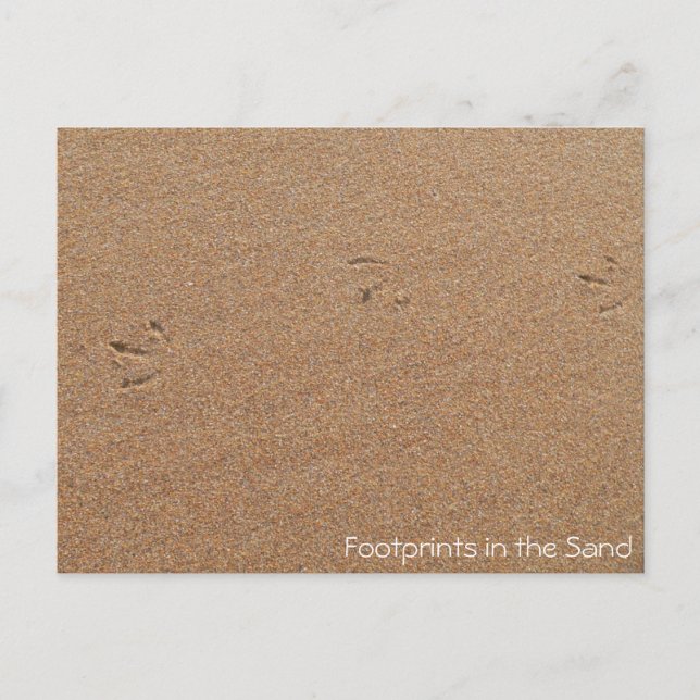 Footprints in the Sand Postcard (Front)