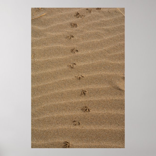 Footprints in the sand poster (Front)