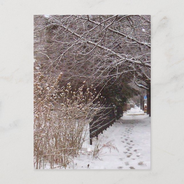 Footprints in the snow. postcard (Front)