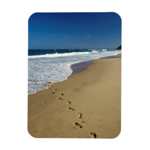 Footprints On Beach, Mabibi, Thongaland Magnet