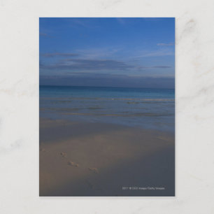 Footprints on beach postcard