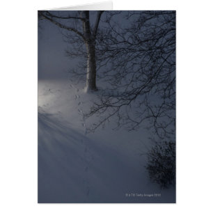 Footprints on Snow, Hamburg, Germany
