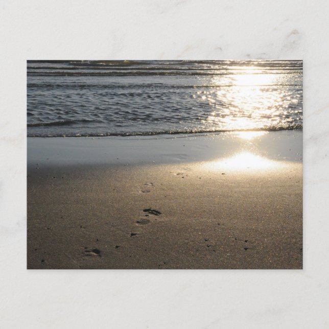 Footprints on the sandy beach postcard (Front)