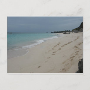 Footsteps in Bermuda Sand Postcard