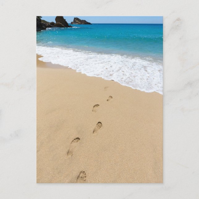 Footsteps in sandy beach leading to blue sea postcard (Front)