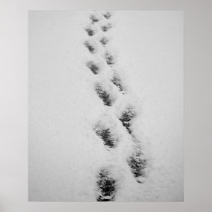 footsteps in snow poster