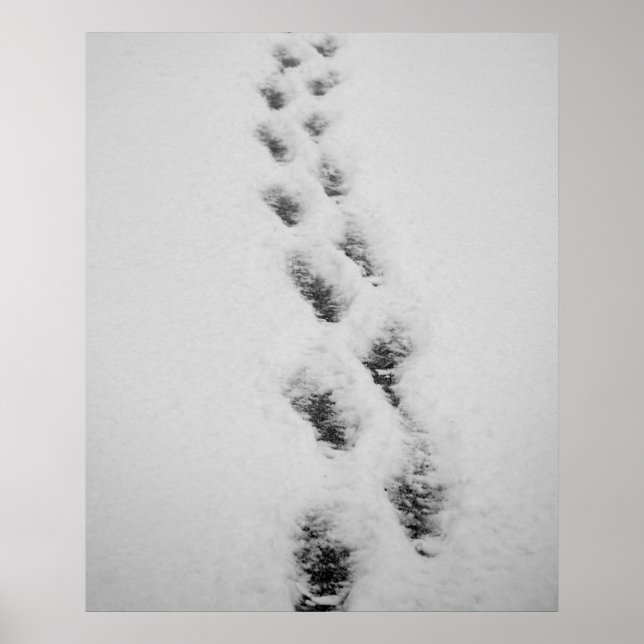 footsteps in snow poster (Front)
