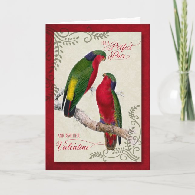 For a Couple on Valentine's Day Lorikeet Parrots Holiday Card (Front)
