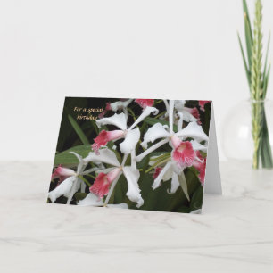 For a special birthday card