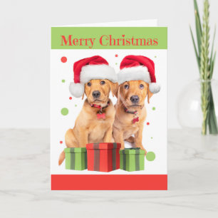 For Anyone Merry Christmas Two Lab Puppies Holiday Card