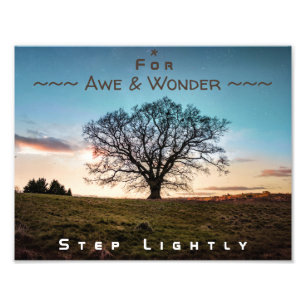 For Awe & Wonder, Step Lightly Tree Photo Print