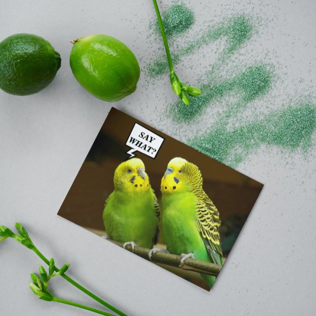 For Brother Green Parakeets Funny Birthday Card (In Situ)