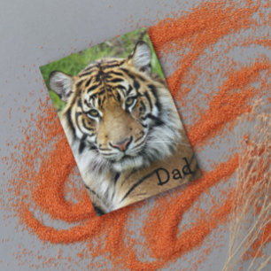 For Dad Big Cat Tiger Photo Birthday Card