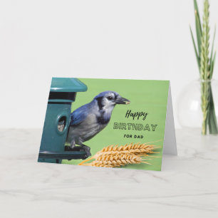 For Dad Birthday with Blue Jay at Feeder Card