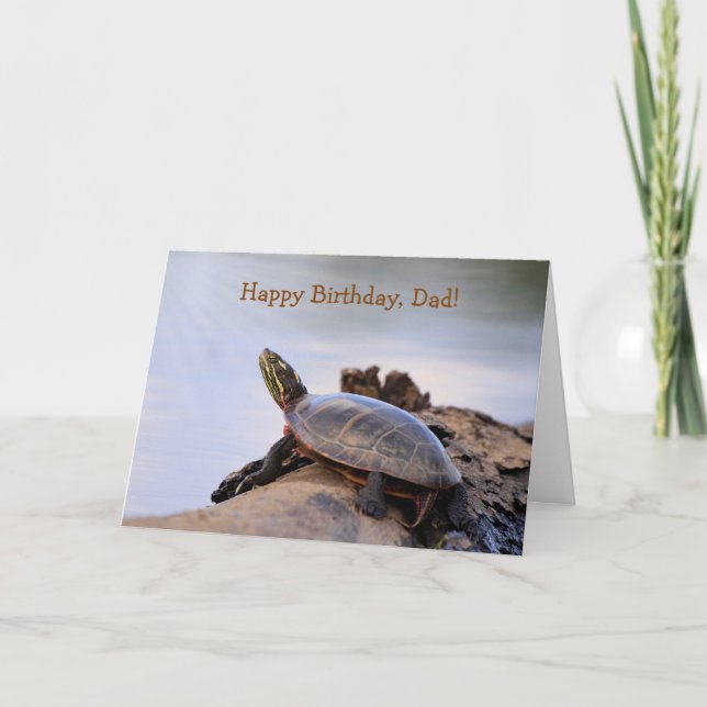 For Dad, Turtle Nature Birthday Card (Front)