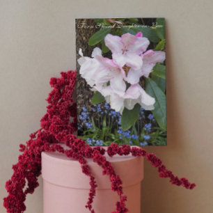 For Daughter-in-Law Floral Mother's Day Card