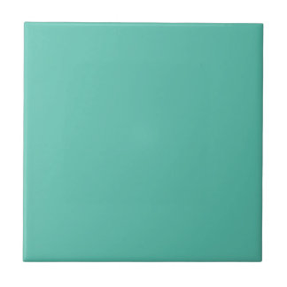 For Dustin - Miami Teal Ceramic Tile
