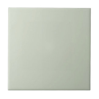 For Dustin - Set Green Ceramic Tile