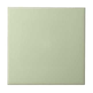 For Dustin - Whipped Avocado Ceramic Tile