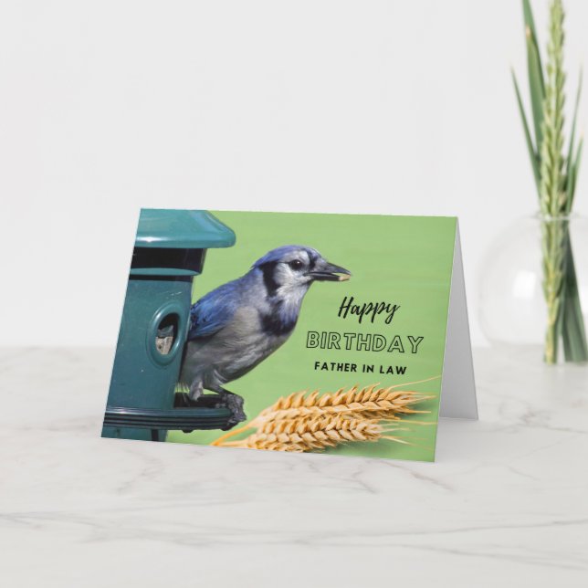 For Father in Law Birthday with Blue Jay at Feeder Card (Front)
