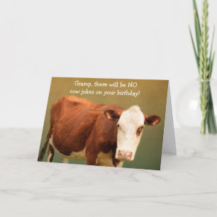 For Gramp Funny Cow Birthday Card
