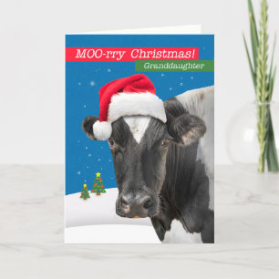 For Granddaughter Merry Christmas Funny Cow Humour Holiday Card