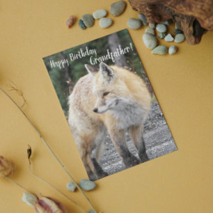 For Grandfather Red Fox Photo Birthday Card