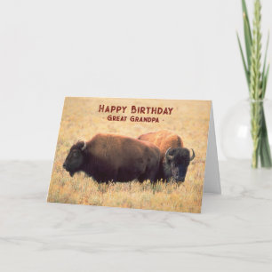 For Great Grandpa Birthday with a Pair of Bison Card