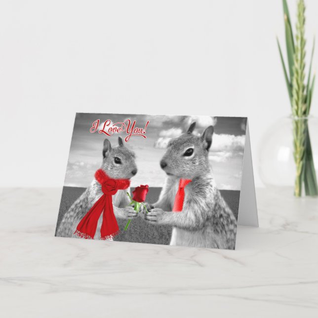For Husband on Valentine's Day Funny Squirrel Holiday Card (Front)
