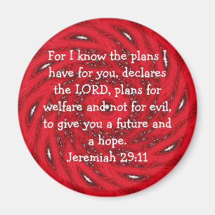 For I know the plans I have .... Jeremiah 29:11 Magnet