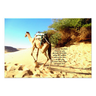 For I know the plans I have ....  Jeremiah 29:11 Photo Print