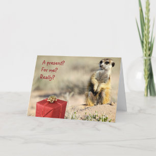 For me? - KMP Christmas Card