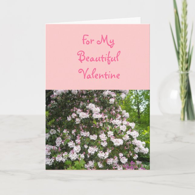 For My Beautiful Valentine Holiday Card (Front)