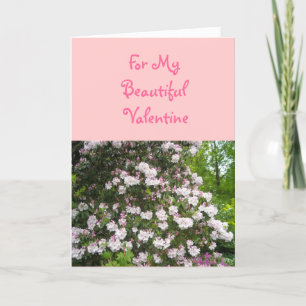 For My Beautiful Valentine Holiday Card