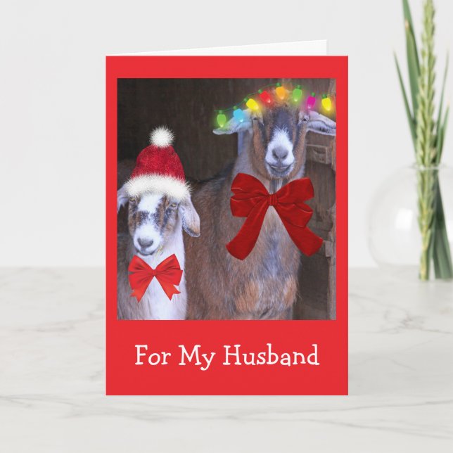 "For My Husband" Cute Goat Christmas Holiday Card (Front)