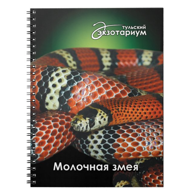 For reptile lovers milk snake notebook (Front)