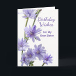 For Sister Birthday Violet Chicory Flowers Card<br><div class="desc">Happy Birthday Wishes,  paper greeting card for a sister. Card features a floral photograph of chicory flowers in shades of violet. Poem inside. Personalise the interior verse as desired. Art,  image,  and verse copyright © Shoaff Ballanger Studios,  2023.</div>