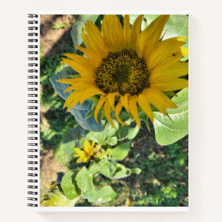 For sketching, drawing, journalling notebook