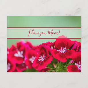 For the best mummy in the world on mother´s day! postcard