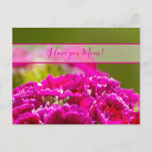 For the best mummy in the world! postcard
