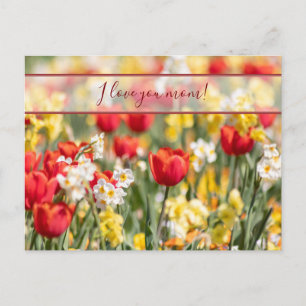 For the best mummy in the world! postcard