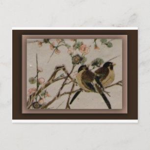 For the birds postcard