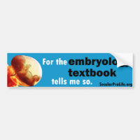 For the Embryology Textbook tells me so...