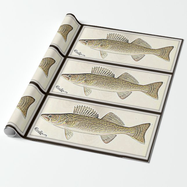 For the fisher - a walleye design wrapping paper (Unrolled)
