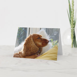 For the love of dogs card