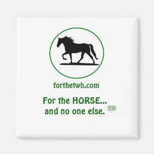 For The TWH Magnet