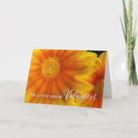 For Volunteer Thank You Gazania Flowers