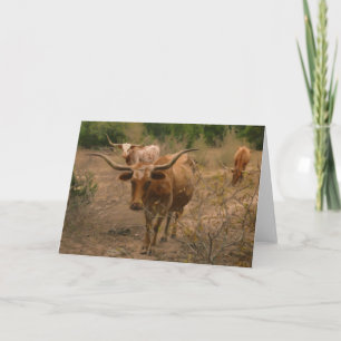 Foraging for Food Card